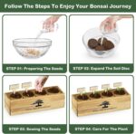 LUOJIBIE Bonsai Tree Kit, Bonsai Tree Starter Growing Kit, Unique Birthday Gifts... - Image 5