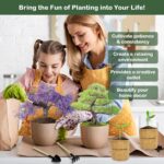 LUOJIBIE Bonsai Tree Kit, Bonsai Tree Starter Growing Kit, Unique Birthday Gifts... - Image 6