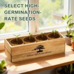 LUOJIBIE Bonsai Tree Kit, Bonsai Tree Starter Growing Kit, Unique Birthday Gifts... - Image 8