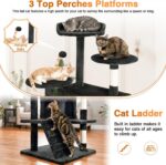 FDW | 54" Cat Tree Tower | Dark Gray | Multi-Level Indoor Activity Center with S... - Image 5