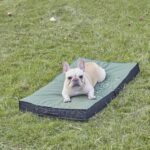 Outdoor Dog Bed - Waterproof, Portable, Foldable, Cooling, Orthopedic for Large ... - Image 9