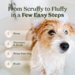 PAWFUME Deshedding Dog Shampoo and Conditioner, Show Dog, 1-Pack – Nourish & Det... - Image 13