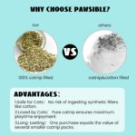 Pawsible Cat Toys for Indoor Cats, 100% Pure Organic Catnip-Filled Toys Without ... - Image 3