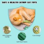 Pawsible Cat Toys for Indoor Cats, 100% Pure Organic Catnip-Filled Toys Without ... - Image 5