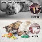 Pawsible Cat Toys for Indoor Cats, 100% Pure Organic Catnip-Filled Toys Without ... - Image 6