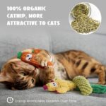 Pawsible Cat Toys for Indoor Cats, 100% Pure Organic Catnip-Filled Toys Without ... - Image 7