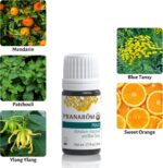 Pranarom - Peace Essential Oil Blend (5ml) - Lavender, Rosemary, Clary Sage, Pin... - Image 3