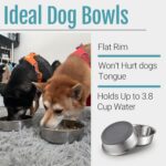 PEGGY11 Nonslip Stainless Steel Dog Bowls, 3.8 US Cup, 2 Count | No slide silico... - Image 5