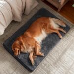 JOEJOY Orthopedic XL Dog Bed for Large Dogs, Waterproof Dog Bed for Crate with W... - Image 3