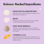 Lemme Glow Collagen Gummies for Strong Nails & Healthy Skin, 30-Day Supply | Str... - Image 4