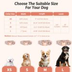 Dog Collar and Leash Set Girls Adjustable Puppy Collars with Floral Bow Tie for ... - Image 4