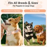 Dog Collar and Leash Set Girls Adjustable Puppy Collars with Floral Bow Tie for ... - Image 5