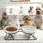 Elevated Tilted Cat Bowls for Indoor Cats，Raised Ceramic Cat Bowl Elevated 15°,P... - Image 3