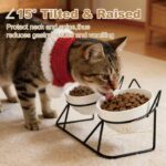 Elevated Tilted Cat Bowls for Indoor Cats，Raised Ceramic Cat Bowl Elevated 15°,P... - Image 4