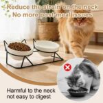 Elevated Tilted Cat Bowls for Indoor Cats，Raised Ceramic Cat Bowl Elevated 15°,P... - Image 5