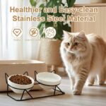 Elevated Tilted Cat Bowls for Indoor Cats，Raised Ceramic Cat Bowl Elevated 15°,P... - Image 8
