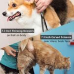 CIICII Dog Grooming Scissors Kit, 7 Inch Safety Pet Cat Shears Set (Black) | Pro... - Image 7