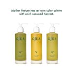 OSEA Undaria Algae Body Oil 5 oz – Visibly Firming, Deeply Moisturizing, Instant... - Image 7