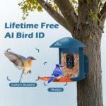 Smart Bird Feeder with Camera & Solar Panel, 2K HD Birdwatching Live | with AI I... - Image 7