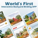 Smart Bird Feeder with Camera & Solar Panel, 2K HD Birdwatching Live | with AI I... - Image 10