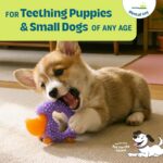 Cutie Chewies Hedgehog Dental Dog Chew Toy — Multi-Textured, Massages Gums, Floa... - Image 3