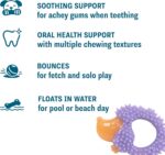 Cutie Chewies Hedgehog Dental Dog Chew Toy — Multi-Textured, Massages Gums, Floa... - Image 4