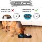 MateeyLife Dog Food and Water Bowl Set 3 in 1, Slow Feeder Dog Bowls & Stainless... - Image 3