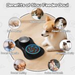 MateeyLife Dog Food and Water Bowl Set 3 in 1, Slow Feeder Dog Bowls & Stainless... - Image 4