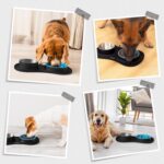 MateeyLife Dog Food and Water Bowl Set 3 in 1, Slow Feeder Dog Bowls & Stainless... - Image 9