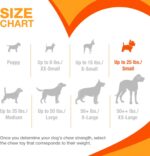 Nylabone Puppy Chew Teething Pacifier Dog Chew Toy, Bacon Flavor, Small | Soothi... - Image 7