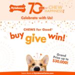 Nylabone Puppy Chew Teething Pacifier Dog Chew Toy, Bacon Flavor, Small | Soothi... - Image 13