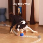 Cheerble Smart Interactive Dog Toy, Wicked Ball Rolly, Automatic Moving, Bouncin... - Image 9