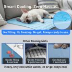 INSPECTOR TAIL Dog Cooling Mat, Indoor & Outdoor, XL Self Cooling Pad | No Freez... - Image 7