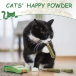 Nocciola 3 Pack Catnip Toys for Cats, Funny Cat Toys Filled with 100% Pure Organ... - Image 5
