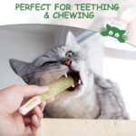 Nocciola 3 Pack Catnip Toys for Cats, Funny Cat Toys Filled with 100% Pure Organ... - Image 6