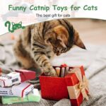 Nocciola 3 Pack Catnip Toys for Cats, Funny Cat Toys Filled with 100% Pure Organ... - Image 8