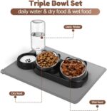 Cat Food and Water Bowl Set, Stainless Steel Raised Cat Bowls with Automatic Wat... - Image 7