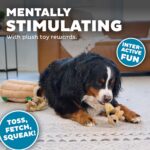 Outward Hound Hide-A-Squirrel Dog Toy – Interactive 2‑in‑1 Plush Puzzle with 6 S... - Image 5