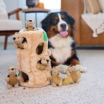 Outward Hound Hide-A-Squirrel Dog Toy – Interactive 2‑in‑1 Plush Puzzle with 6 S... - Image 7
