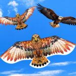 Bald Eagle Kite, Easy to Fly for Kids Kite for Beginners Red/Brown | Outdoor Act... - Image 7