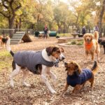 XL Dog Winter Coat for Medium Large Dogs Easy On/Off Velcro Dog Snow Jacket | Wa... - Image 3
