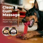 Tough Dog Toys for Aggressive Chewers: Beef Flavored Long Lasting Dog Bones for ... - Image 7