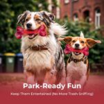 Tough Dog Toys for Aggressive Chewers: Beef Flavored Long Lasting Dog Bones for ... - Image 9