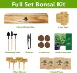 Bonsai Tree Kit, Bonsai Starter Kit with Seeds & Tools, Tree Live Plants Indoor,... - Image 3