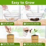 Bonsai Tree Kit, Bonsai Starter Kit with Seeds & Tools, Tree Live Plants Indoor,... - Image 5