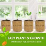 Bonsai Tree Kit, Bonsai Starter Kit with Seeds & Tools, Tree Live Plants Indoor,... - Image 6