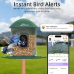 Smart Bird Feeder with Camera Solar Powered, 2.5K UHD Birdwatching Cam | Free AI... - Image 3