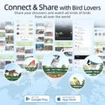 Smart Bird Feeder with Camera Solar Powered, 2.5K UHD Birdwatching Cam | Free AI... - Image 5