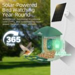 Smart Bird Feeder with Camera Solar Powered, 2.5K UHD Birdwatching Cam | Free AI... - Image 8