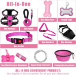 No Pull Dog Harness Adjustable Collar & Leash Set - Dog Halter Harnesses Collaps... - Image 3